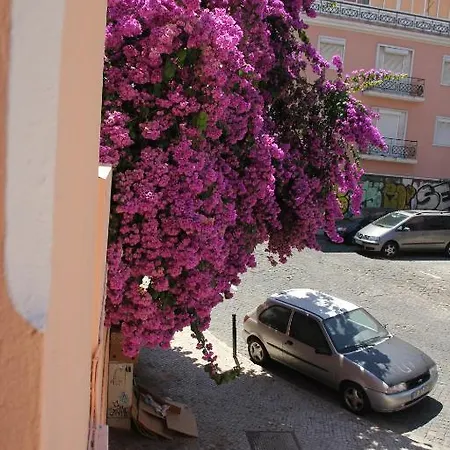 Lisbon Inn Apartments * Lissabon